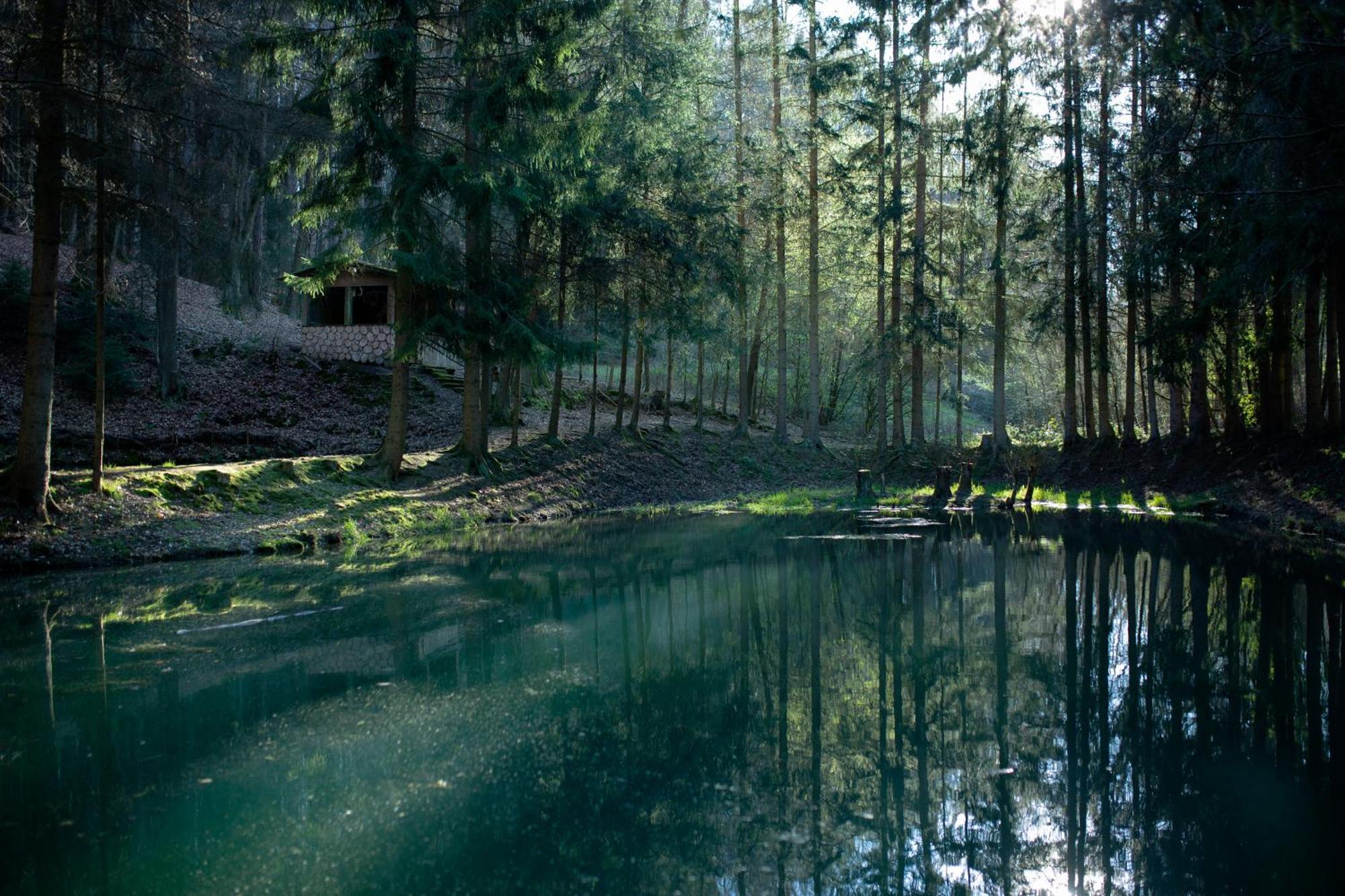 Fh "Baeren Ecke" Am See Im Hessischen Bergland Кирххайм Екстериор снимка